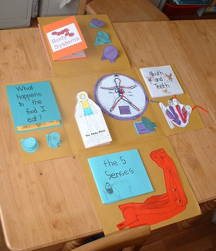 Foldables for Interactive Notebooks 