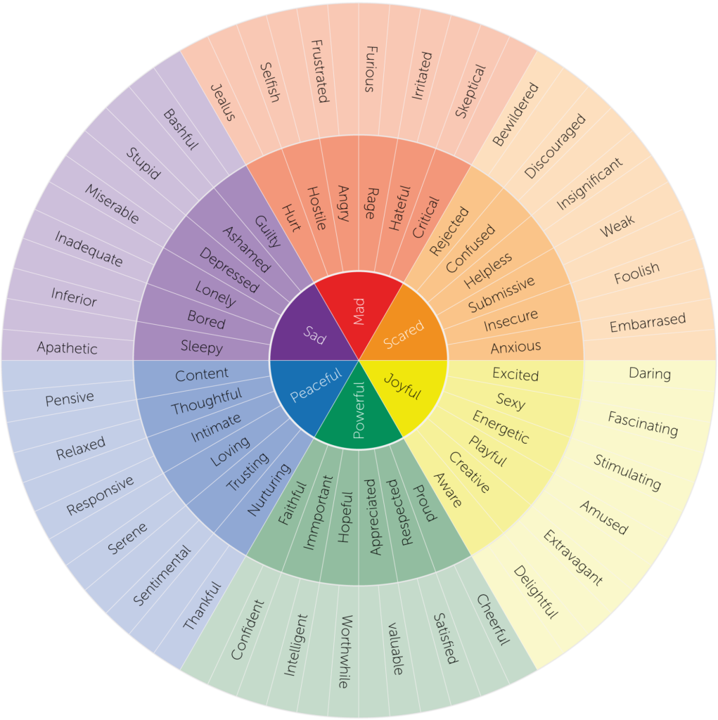 Character building activities emotion wheel